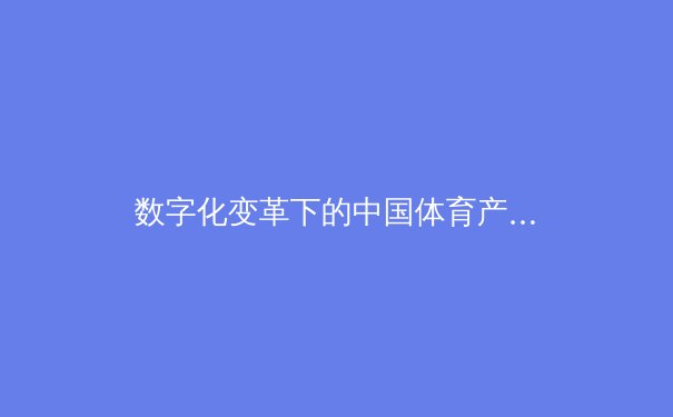 数字化变革下的中国体育产业：从赛事运营到全民健身的新格局 - 3